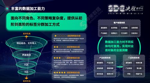 神策數(shù)據(jù)榮登Forrester 2024年Q1亞太區(qū)CDP格局報告，彰顯數(shù)據(jù)處理服務(wù)卓越實力