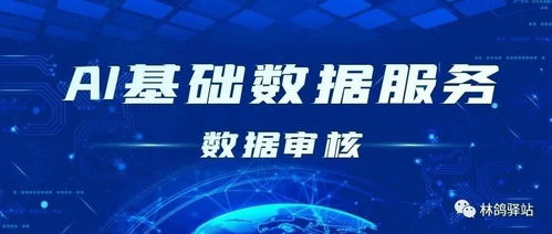 數(shù)據(jù)驅(qū)動(dòng)AI未來(lái) 以采集、標(biāo)注與審核為核心的AI基礎(chǔ)數(shù)據(jù)服務(wù)行業(yè)